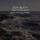 비오비컨설팅 이미지