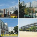 도곡2-104 이미지