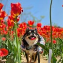 생태마당근린공원 이미지