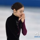달구네 조선일보