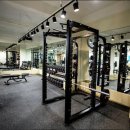 트레이닝 메이트 이미지