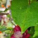 가연에너지 이미지