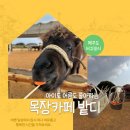 성산목장 | 성산일출봉카페 목장카페 밭디 주말 데이트 코스 후기