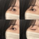 남동119 | [인천/남동구] 구월동속눈썹연장 추천 쿠모래쉬 내돈내산 재방문 후기