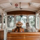 야경코스 이미지