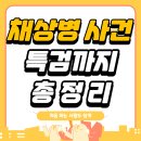 채상병 특별법이란? 내용,사건!! 드디어 !! 이미지