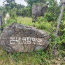 참꽃호출택시 | 한라산 둘레길 5구간 (수악길)(한라산 둘레길 걷기 꿀팁)