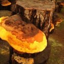 장생마을 이미지