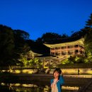 (야간)가을 밤의 플로리스트(10월) | 창덕궁 야간개장 서울 종로 데이트코스 추천 달빛기행 궁궐투어