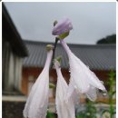 석남사가는길 이미지