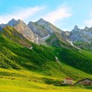 초록풍경 이미지