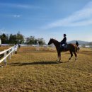 청해초등학교 이미지