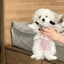 집밥일기 10 탄 (오참비 100번 등장)