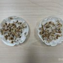 세종특별자치시농업기술센터 이미지