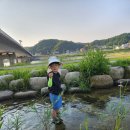 양양J체육관 이미지