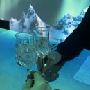 (주)아트쉐어 | [내돈내산솔직후기] 맛과 분위기를 다 잡은 강남 파인다이닝 데이트 맛집 비언유주얼