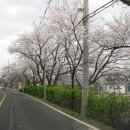 보경사 입구 이미지