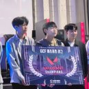 에버마루 이미지