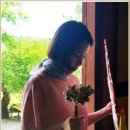 하늘천따지 이미지