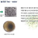 워터힐스파