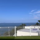 스테이 멍(STAY MUNG) 이미지