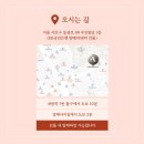 아틀리에성형외과의원 이미지