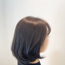 헤어엔로아르
