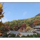 부석사 - 서산시 | 부석사