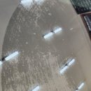 다올모터스 이미지