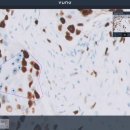 Digital Solution 이미지