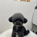 예쁜미용소