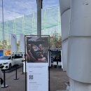 (주)본모터스 | [직관/후기] 홈에서 만난 승점주는 노란 용, 수원삼성 VS 전남드래곤즈, 보인다 보여 정효볼