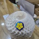 주식회사 호아마이 이미지