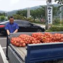 고령성주축산업협동조합한우프라자 이미지