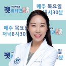 웨스턴펫