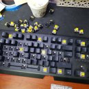 수원-0353 이미지