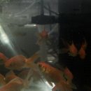 부광로29번길 이미지