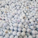 삼육오스크린골프 이미지