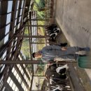 송촌목장 이미지