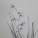 아미동(주민센터) 이미지