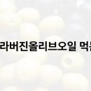 엑스트라 이미지