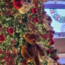 안목스테이 이미지