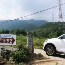 7월6(월) 고성라벤다여행,송학동고분군,연꽃공원 이미지