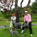 담양다이너스티컨트리클럽 이미지