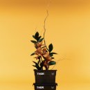 재성사 | 2023 아이앱스튜디오 토르 바라클라바 후리스 플리스