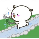 오색장군바위캠핑장 이미지