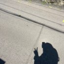 뚜르드제주 | 🏡제주도 게스트하우스 뚜르드 제주_종달리 1인 게하 (뚜벅이 강추)