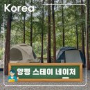 석산로 | 서울근교캠핑장추 신생 캠핑장 스테이 네이처 D존 후기