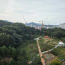꿈앤들 통기타 네이버블로그