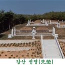 선영 이미지
